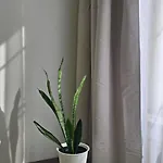 Bbapartamenty Pod 12 Apartment *