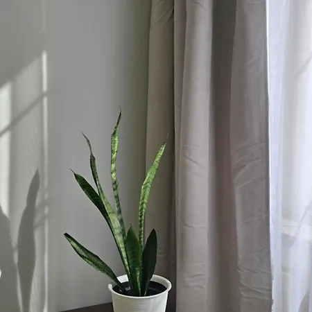 Pod 12 Apartment *