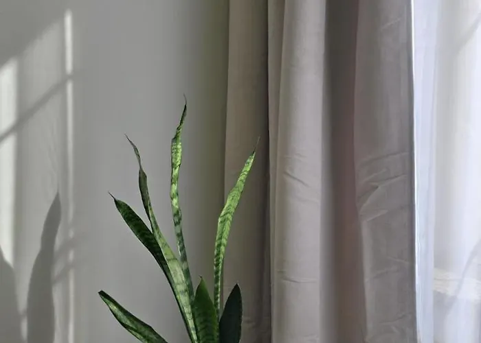 Pod 12 Διαμέρισμα *